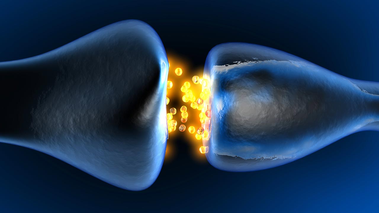 nerve-conduction