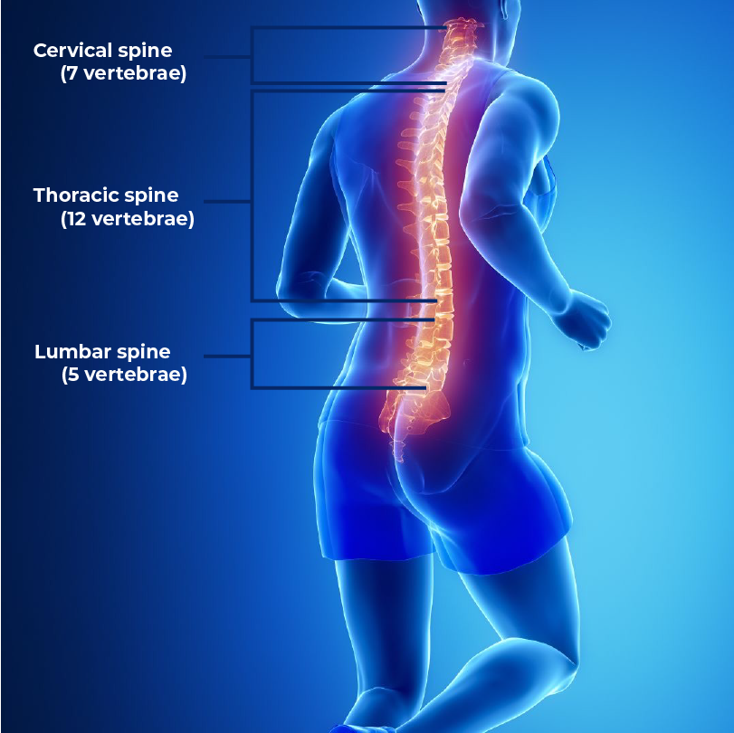 Spine Revision Surgery